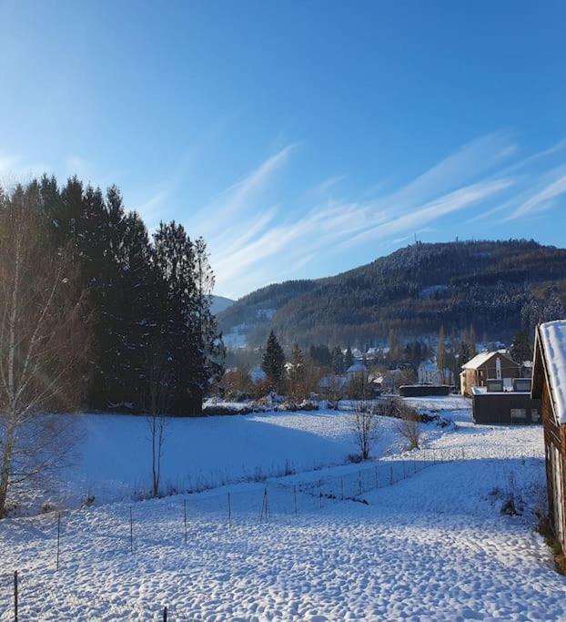 Chalet Les Boudieres 6 Pers Pres Gerardmer Cosy Billard Fraize Zewnętrze zdjęcie